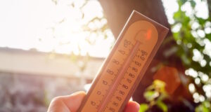 https://www.freepik.com/premium-photo/hand-holding-thermometer-with-high-temperatures-hot-sun_26726945.htm#page=4&query=heat%20wave&position=35&from_view=search&track=ais