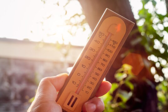 https://www.freepik.com/premium-photo/hand-holding-thermometer-with-high-temperatures-hot-sun_26726945.htm#page=4&query=heat%20wave&position=35&from_view=search&track=ais