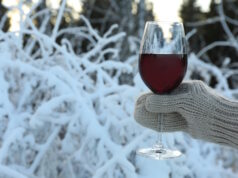 https://www.freepik.com/premium-photo/hand-mitten-holds-glass-wine-forest_21331215.htm#query=Chilled%20wine&position=37&from_view=search&track=ais
