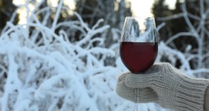 https://www.freepik.com/premium-photo/hand-mitten-holds-glass-wine-forest_21331215.htm#query=Chilled%20wine&position=37&from_view=search&track=ais
