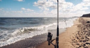 https://www.freepik.com/free-photo/several-fishing-rods-row-beach_6060177.htm#query=shore%20fishing&position=11&from_view=search&track=ais