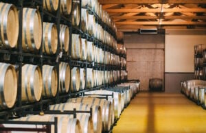 Shaking Up Napa Valley With An Experimental ‘R&D’ Wine Club https://www.freepik.com/free-photo/wood-wine-barrels-stored-winery-fermentation-process_28006445.htm#query=winery&position=23&from_view=search&track=sph