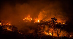 https://www.freepik.com/premium-photo/forest-fires_2272609.htm#page=2&query=forest%20fire&position=16&from_view=search&track=ais