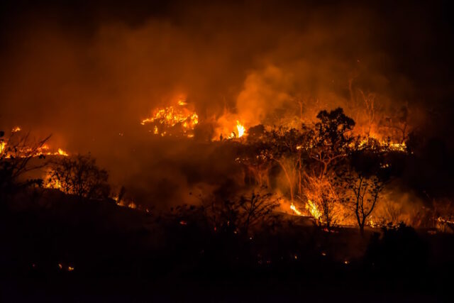 https://www.freepik.com/premium-photo/forest-fires_2272609.htm#page=2&query=forest%20fire&position=16&from_view=search&track=ais