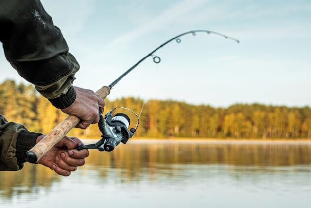 https://www.freepik.com/premium-photo/hands-man-urp-plan-hold-fishing-rod-fisherman-catches-fish-dawn-fishing-hobby-vacation_5802598.htm#query=fly%20fishing&position=39&from_view=search&track=ais