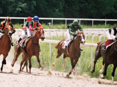https://www.vecteezy.com/photo/821835-horse-racing