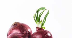 https://www.freepik.com/free-photo/blue-onion-garlic-white_10181220.htm#query=garlic%20onions&position=20&from_view=search&track=ais