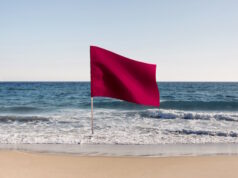 https://www.freepik.com/free-photo/isolated-red-flag-nature_36029086.htm#query=gusty%20florida%20flag&position=39&from_view=search&track=ais