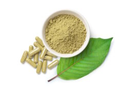 https://www.freepik.com/premium-photo/kratom-mitragyna-speciosa-capsules-with-powder-green-leaf-isolated-white-surface_15644533.htm#query=kratom&position=41&from_view=search&track=sph