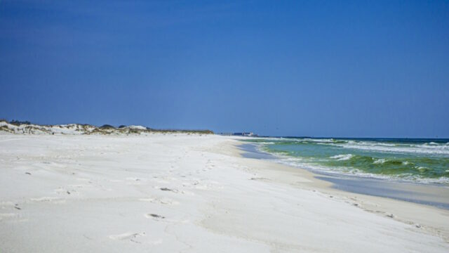 https://www.vecteezy.com/photo/17095233-lonely-beach-of-panama-city-in-florida-in-spring-during-daytime