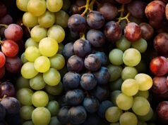 https://www.vecteezy.com/photo/27810839-realistic-photo-of-different-kind-of-grapes-top-view-fruit-scenery-ai-generated