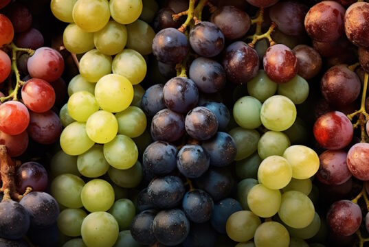 https://www.vecteezy.com/photo/27810839-realistic-photo-of-different-kind-of-grapes-top-view-fruit-scenery-ai-generated