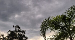 https://www.vecteezy.com/photo/23283615-sky-with-clouds-in-the-late-afternoon