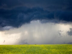 https://www.vecteezy.com/photo/5906768-storm-clouds-canada