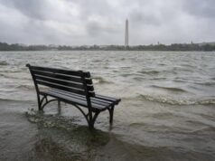 Florida Flood Risks: What Every Property Owner Should Know