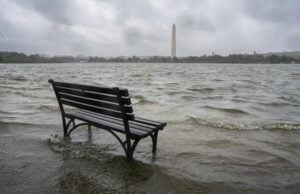 Florida Flood Risks: What Every Property Owner Should Know