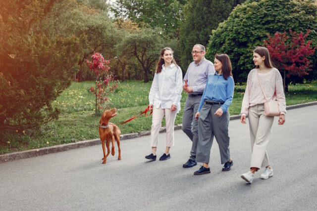 Elegant family spend time in a summer park A new meta-study of 12 other studies brings clarity to confusion regarding the most beneficial number of steps one should walk each day.