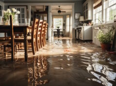 https://www.freepik.com/premium-photo/flooded-floor-kitchen-from-water-leak-generative-ai_51106842.htm#query=flood%20zone%20home&position=45&from_view=search&track=ais&uuid=4bf8c87e-8b61-4e06-a805-0a847c5665fa