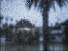 https://www.freepik.com/free-photo/rain-drops-window_4221603.htm#query=breezy%20rain&position=28&from_view=search&track=ais