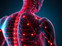 https://www.vecteezy.com/photo/23055977-human-nervous-system-anatomy-x-ray-human-body-back-view-generative-ai