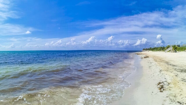 Tropical mexican beach clear turquoise water Playa del Carmen Mexico. https://www.vecteezy.com/photo/11294279-tropical-mexican-beach-clear-turquoise-water-playa-del-carmen-mexico