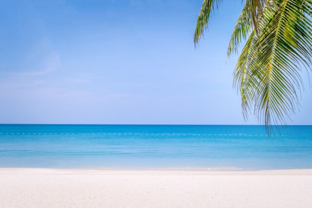 Tropical nature clean beach and white sand in summer with sun li https://www.freepik.com/premium-photo/tropical-nature-clean-beach-white-sand_13198414.htm?query=beaches#from_view=detail_alsolike