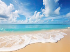 https://www.freepik.com/premium-ai-image/hot-holiday-weather_146054817.htm#query=gusty&position=21&from_view=search&track=sph&uuid=34ee130f-d38d-40d1-aff8-ab6d9f6e871d