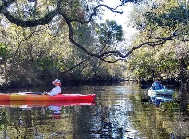 Steinhatchee-River-near-the-falls-headwaters