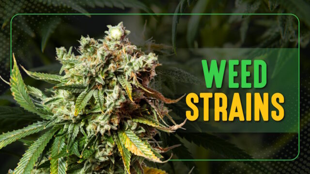 Weed-Strains