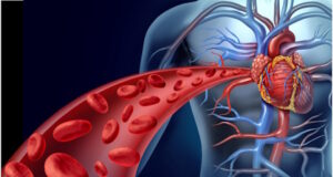 https://www.freepik.com/premium-photo/heart-blood-health-with-red-cells-flowing-through-three-dimensional-veins-from-human-circulatory_46999354.htm#query=body%20blood%20arteries&position=11&from_view=search&track=ais&uuid=b50a35a8-697a-4606-ae85-5942f4bef00a