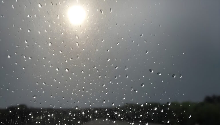 Showers and More Clouds Than Sun - South Florida Reporter