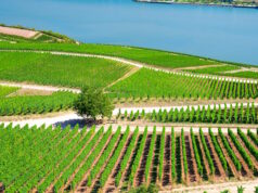 https://www.vecteezy.com/photo/6109069-aerial-panoramic-view-of-river-rhine-gorge-or-upper-middle-rhine-valley-winemaking-region