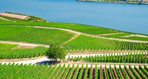 https://www.vecteezy.com/photo/6109069-aerial-panoramic-view-of-river-rhine-gorge-or-upper-middle-rhine-valley-winemaking-region