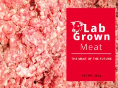 Lab Grown meat Photo 164981211 © Akarat Phasura | Dreamstime.com