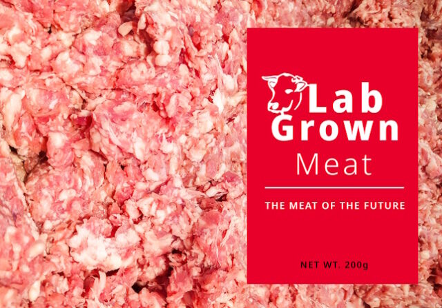 Lab Grown meat Photo 164981211 © Akarat Phasura | Dreamstime.com