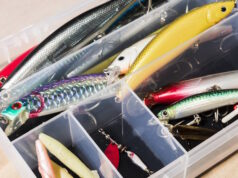 Fishing lures https://www.freepik.com/free-photo/various-type-fishing-baits-white-container_4822253.htm#fromView=search&page=1&position=14&uuid=86d30baa-2599-46df-88a6-fd8ac0c8ed63