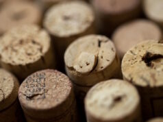 https://www.freepik.com/free-photo/wine-corks-table_6729662.htm#fromView=search&page=1&position=16&uuid=ec07f1d5-88d4-4b69-8f82-d933d3bd51e1
