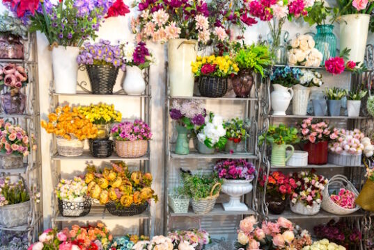 https://www.freepik.com/premium-photo/flower-shop-bouquets-shelf-florist-business_9762187.htm#fromView=search&page=1&position=8&uuid=b917548b-a561-49f8-a0e7-16e60a0525c8