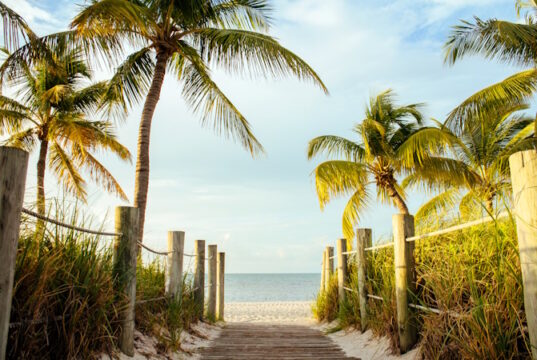 https://www.vecteezy.com/photo/3155076-a-wooden-walk-way-to-the-beach