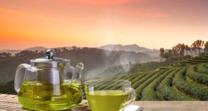 https://www.vecteezy.com/photo/11598870-cup-of-hot-green-tea-and-glass-jugs-or-jars-and-reen-tea-leaf-on-the-wooden-table-and-the-tea-plantations-background