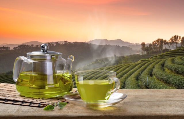 Cup of hot green tea and glass jugs or jars and reen tea leaf on https://www.vecteezy.com/photo/11598870-cup-of-hot-green-tea-and-glass-jugs-or-jars-and-reen-tea-leaf-on-the-wooden-table-and-the-tea-plantations-background