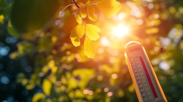 Thermometer Sun high Degrees. Hot summer day. High Summer temperatures https://www.freepik.com/premium-ai-image/thermometer-sun-high-degrees-hot-summer-day-high-summer-temperatures_155310220.htm#fromView=search&page=1&position=26&uuid=8712f08a-ecd6-4c36-97b9-285398c150f3