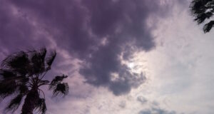 https://www.vecteezy.com/photo/14395715-dramatic-sky-with-beautiful-clouds-and-silhouette-of-palm-trees