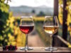 https://www.vecteezy.com/photo/29625833-in-the-winery-red-and-white-wines-are-being-tasted-there-are-full-wine-glasses-next-to-a-window-with-a-beautiful-vineyard-in-the-backdrop-generative-ai