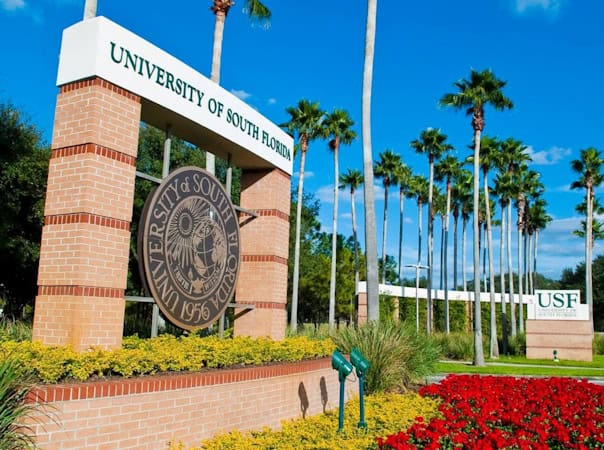 USF-credit-Facebook1-1024x763