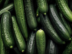 https://www.vecteezy.com/photo/31207467-realistic-photo-of-a-bunch-of-cucumber-top-view-vegetables-scenery-ai-generated