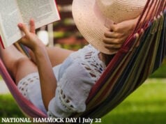 North America Dominated Hammock Sales In 2025, Reaching Up To Three Million Units