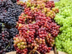 https://www.freepik.com/premium-photo/full-frame-shot-grapes_105456390.htm#fromView=search&page=1&position=16&uuid=8008e673-4045-42eb-82f2-6bd364e7a337