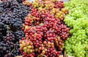 What To Know About The Grapes Used To Make Your Wine https://www.freepik.com/premium-photo/full-frame-shot-grapes_105456390.htm#fromView=search&page=1&position=16&uuid=8008e673-4045-42eb-82f2-6bd364e7a337