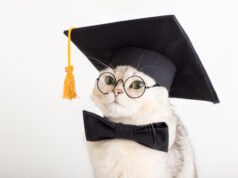 https://www.freepik.com/premium-photo/closeup-cute-cat-black-prom-hat-bow-tie-glasses-looking-away_28306915.htm#fromView=search&page=1&position=19&uuid=895a1b95-472d-4e41-9797-ef5419e27cb0